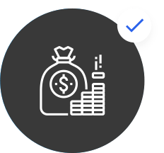 icon money 1